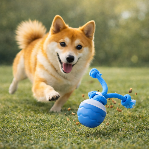 HuntBall – Interaktives Spiel für Ihren Hund, auch ohne Sie.