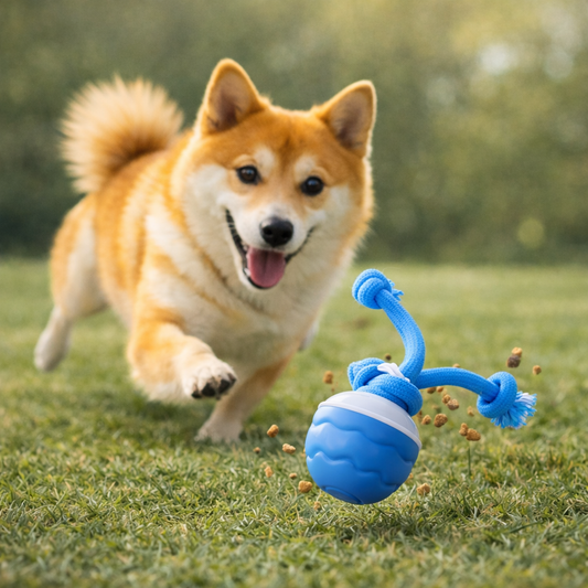 HuntBall – Interaktives Spiel für Ihren Hund, auch ohne Sie.