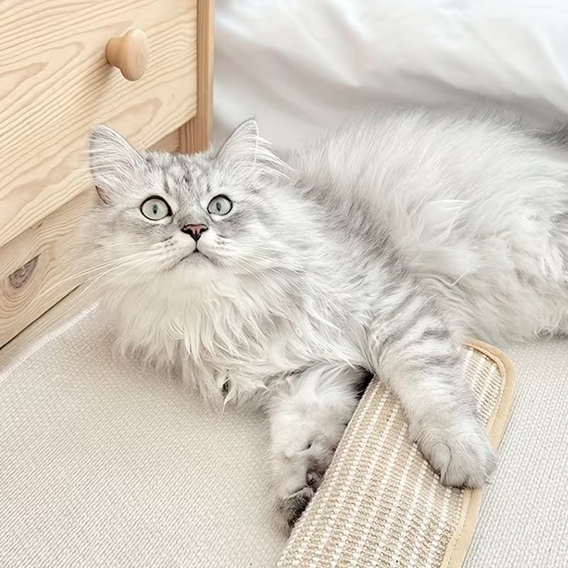 NibStick Kratzspielzeug Katze — an der Wand, schützt deine Möbel