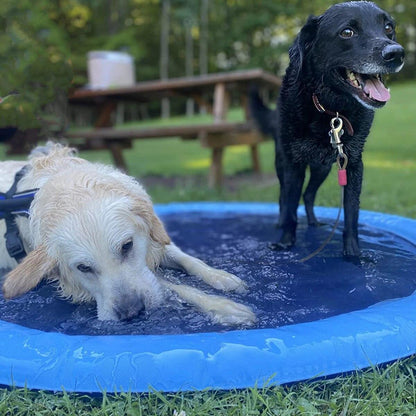 SplashPaw Speelfontäne – Wasserspaß und Abkühlung für deinen Hund.