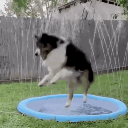 SplashPaw Speelfontäne – Wasserspaß und Abkühlung für deinen Hund.