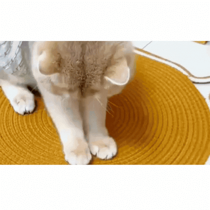 CatScratch Kratzmatte — schütze deine Möbel, gib deiner Katze einen eigenen Platz