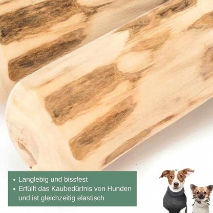 EcoChew Kauspielzeug Hund — sicheres Kauen für ein gesundes Gebiss