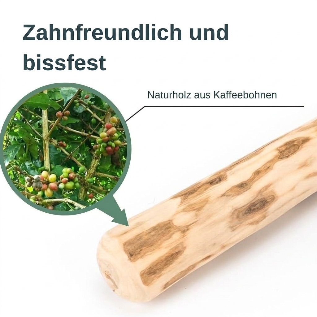 EcoChew Kauspielzeug Hund — sicheres Kauen für ein gesundes Gebiss