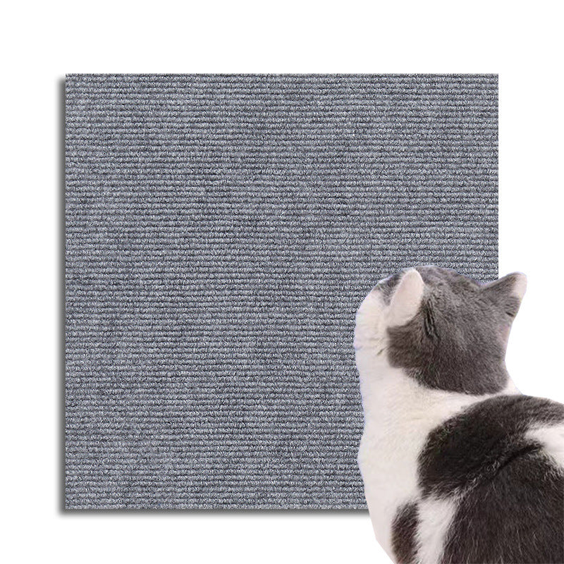 ScratchShield Kratzmatte Katze — schütze deine Möbel