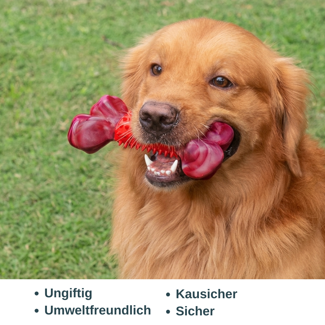 ChewForce Kauknochen Hund — für kräftige Kauer