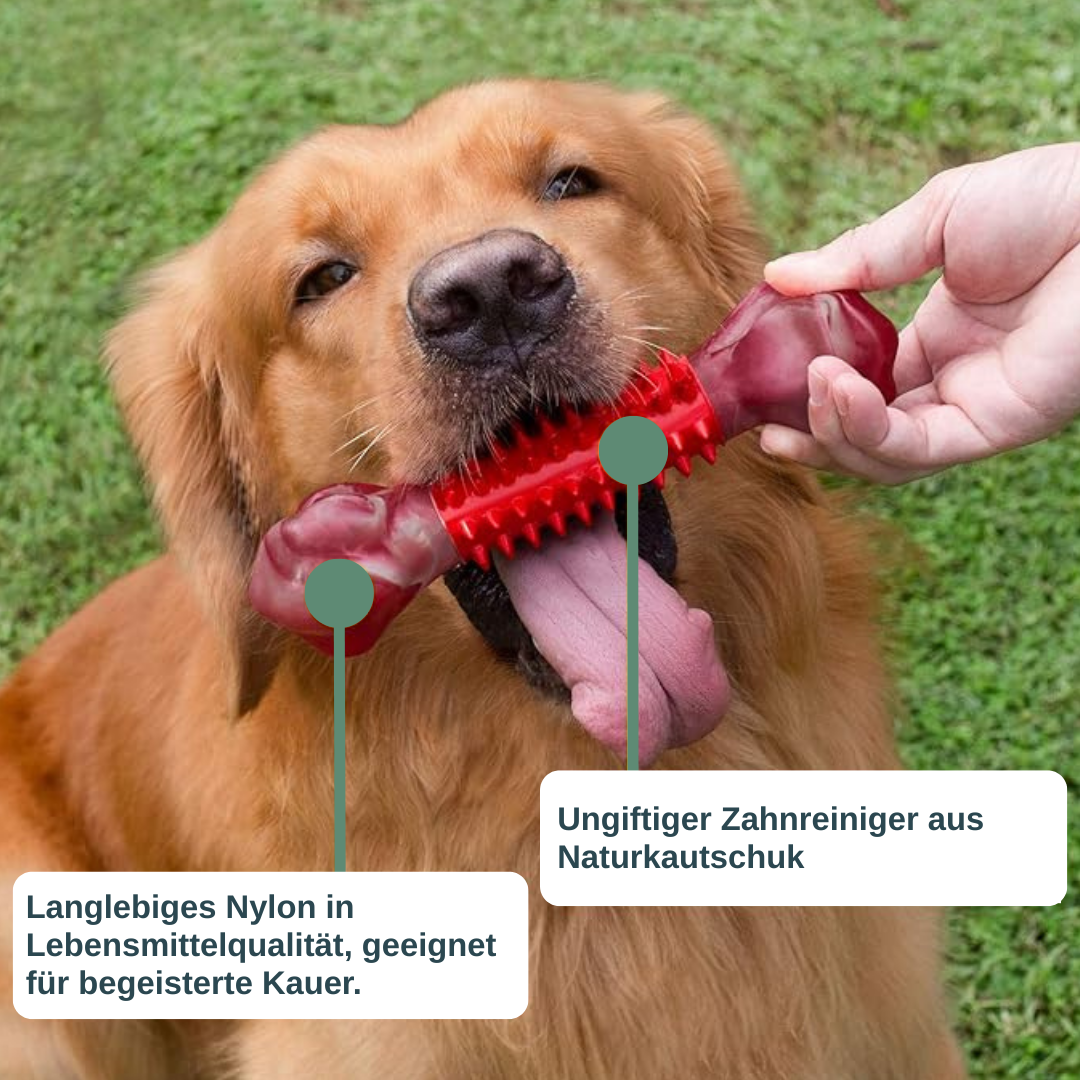 ChewForce Kauknochen Hund — für kräftige Kauer