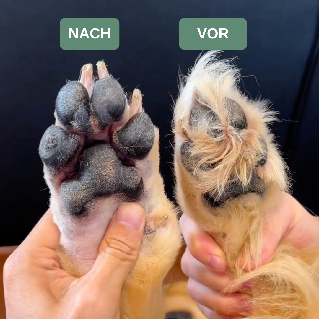 PetTrim Trimmer Hund und Katze — leise, für Pfoten und empfindliche Stellen