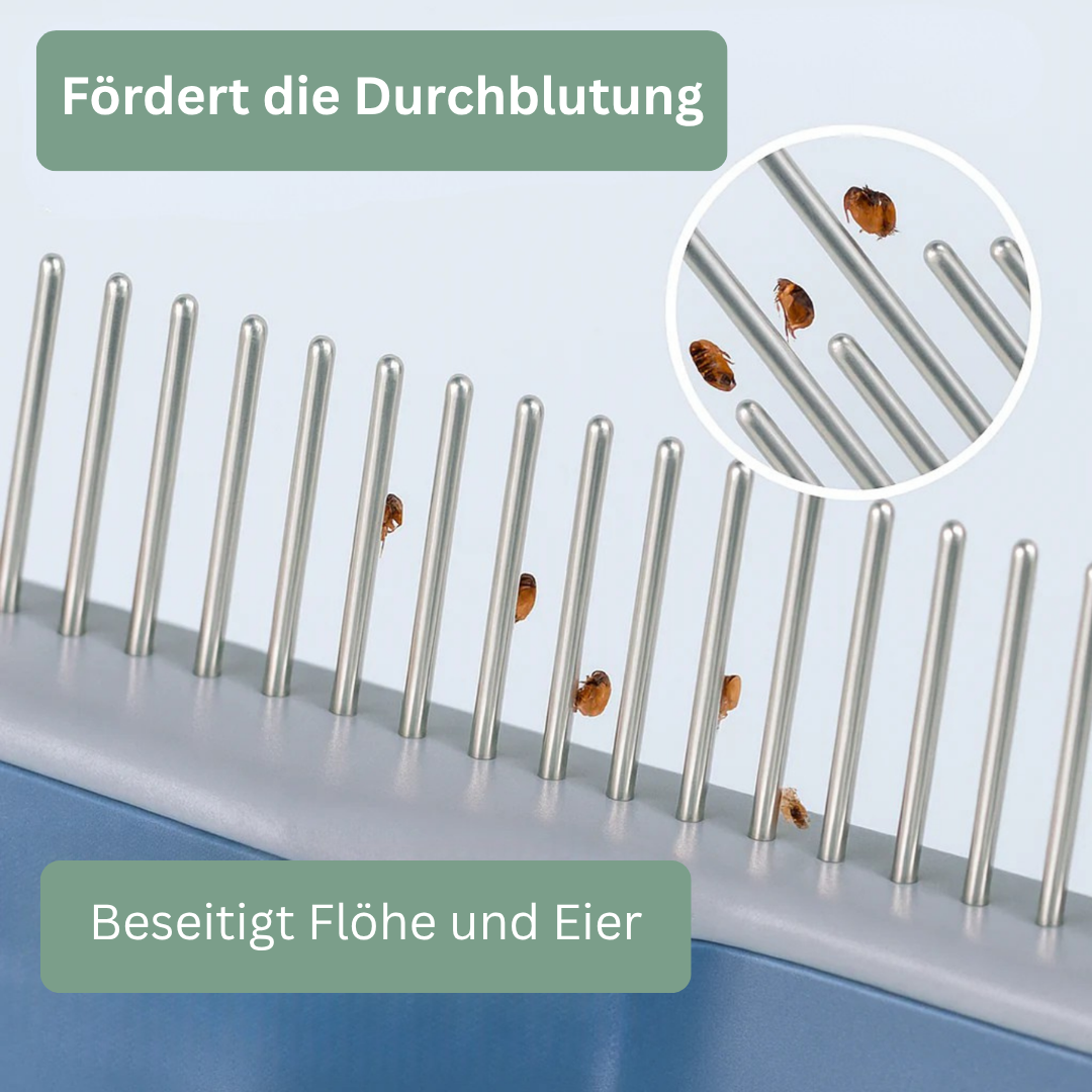 Groomly Kamm - Entfernt mühelos lose Haare und Verfilzungen für ein gesundes Fell