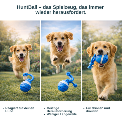 HuntBall – Interaktives Spiel für Ihren Hund, auch ohne Sie.
