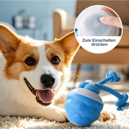 HuntBall – Interaktives Spiel für Ihren Hund, auch ohne Sie.