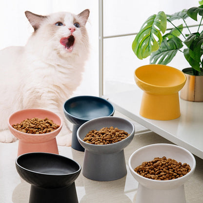 ElevaBowl ergonomischer Futternapf Katze — bequemes Fressen ohne Bücken