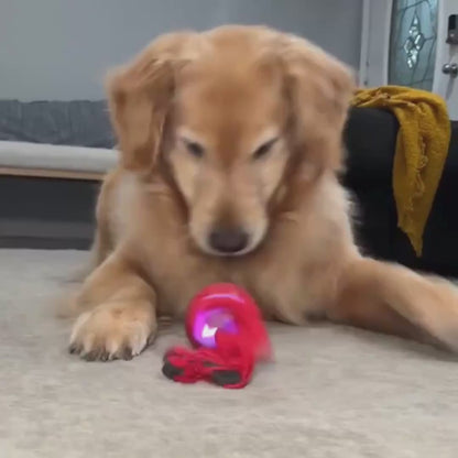 HuntBall – Interaktives Spiel für Ihren Hund, auch ohne Sie.