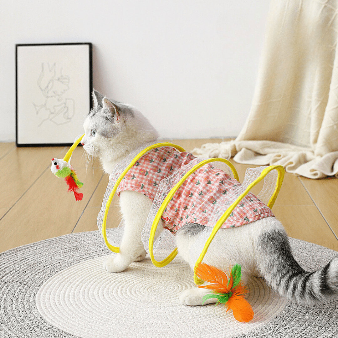 SpiralChase™ - De tunnel die je kat urenlang bezig houdtMaison Pets5246854903733-V2MuisBlauw gestreept