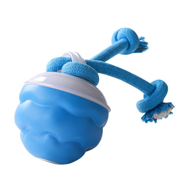 HuntBall™ - Interactief spel voor je hond, ook als jij er niet bij bent.Maison PetsLT10293171Blauw