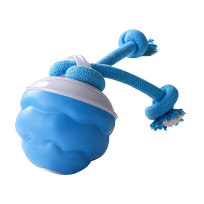 HuntBall™ - Interactief spel voor je hond, ook als jij er niet bij bent.Maison PetsLT10293171Blauw