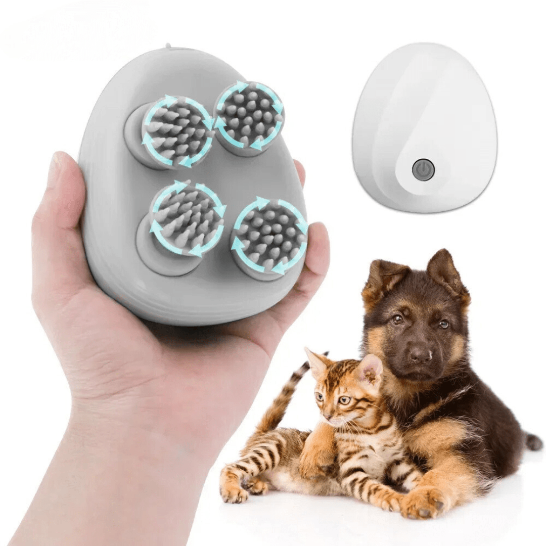 CalmRoll™ massageroller - Stress weg. Spieren los.Maison Pets5588592214398-V2Blauw