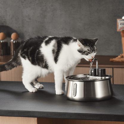 Vervangingsfilters voor PureDrink™ fontein - Altijd schoon gefilterd water voor jouw huisdierMaison Pets12x Filters voor 6 maanden