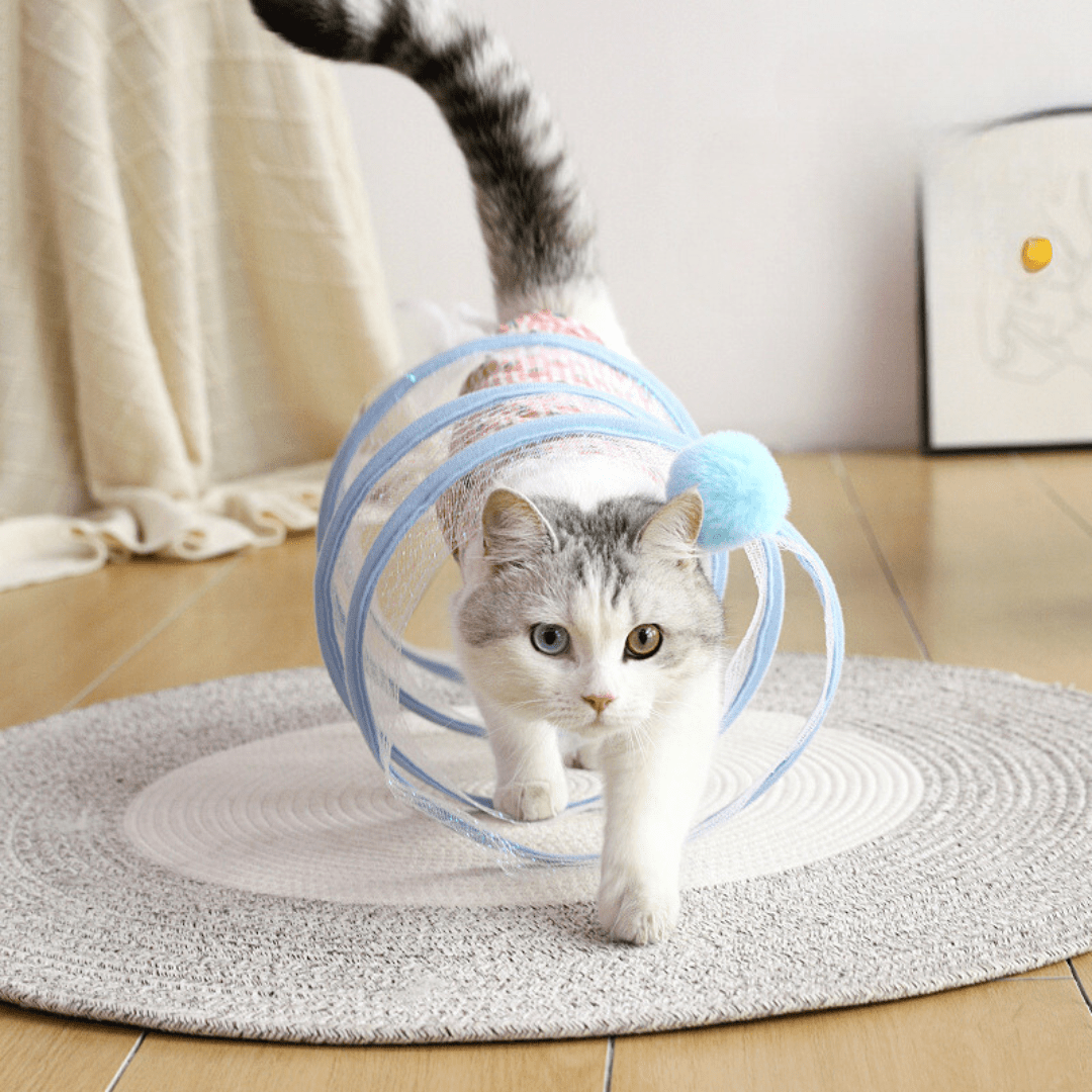 SpiralChase™ - De tunnel die je kat urenlang bezig houdtMaison Pets5246854903733-V2MuisBlauw gestreept