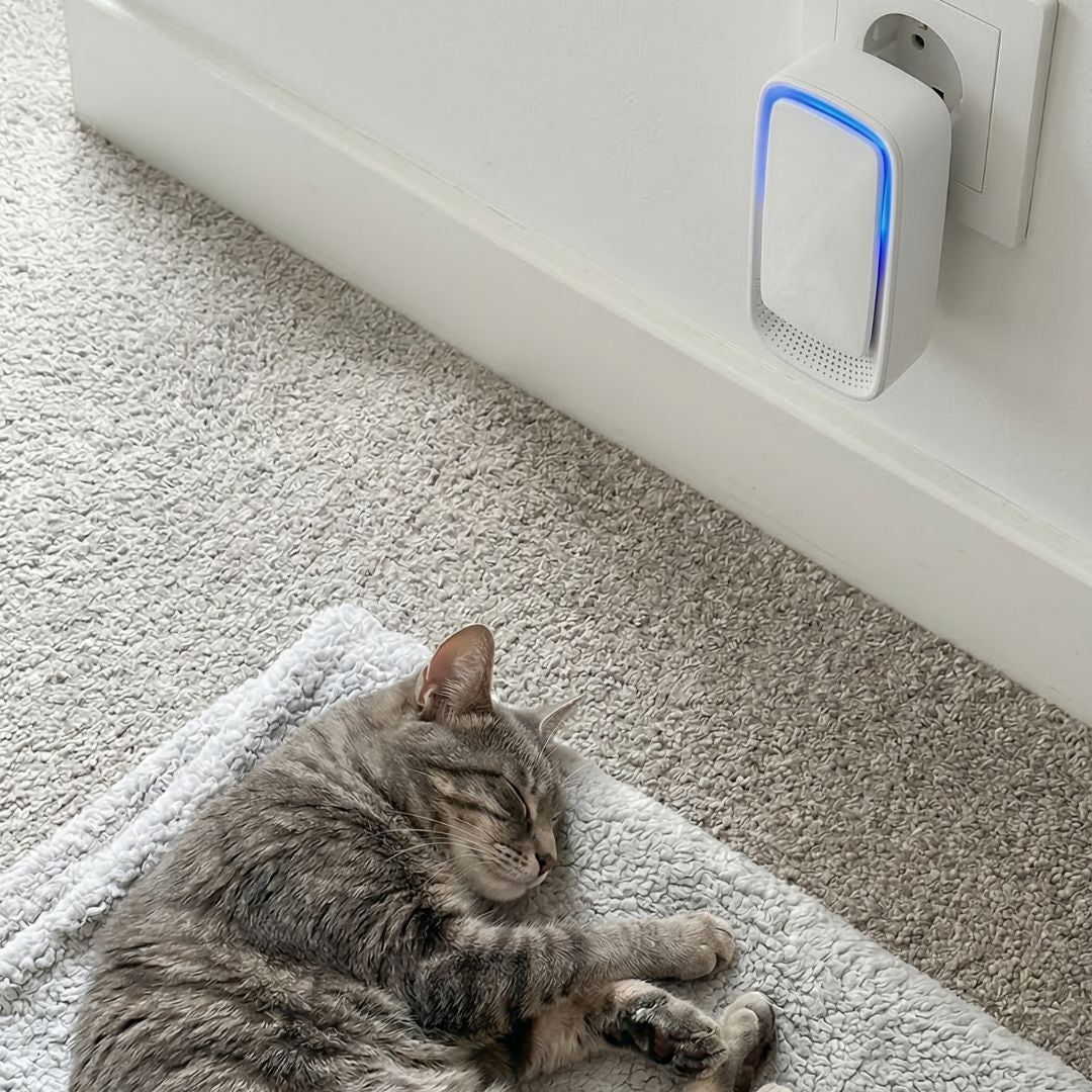 FreshGuard™ luchtzuiveraar - Een fris huis zonder huisdiergeurMaison Pets