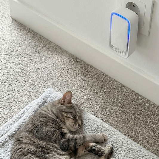 FreshGuard™ luchtzuiveraar - Een fris huis zonder huisdiergeurMaison Pets