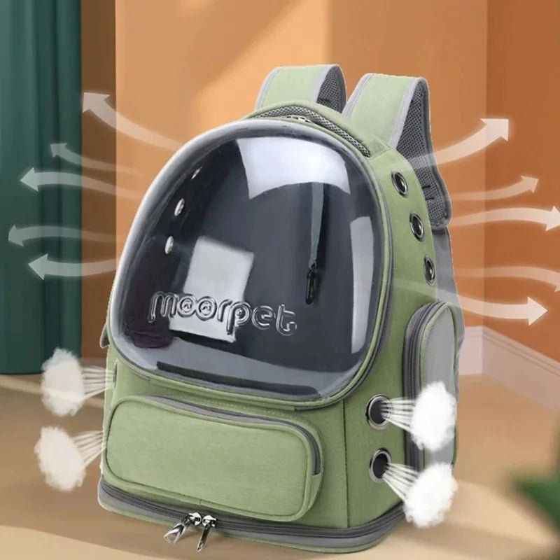 PetSpace™ - samen op pad, veilig comfortabel en zonder gedoe.Maison PetsGroen