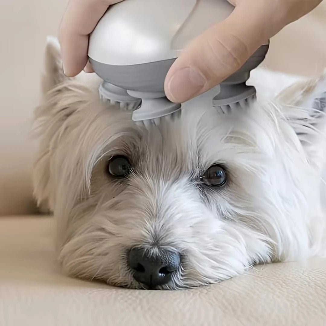 CalmRoll™ massageroller - Stress weg. Spieren los.Maison Pets5588592214397-V2Wit